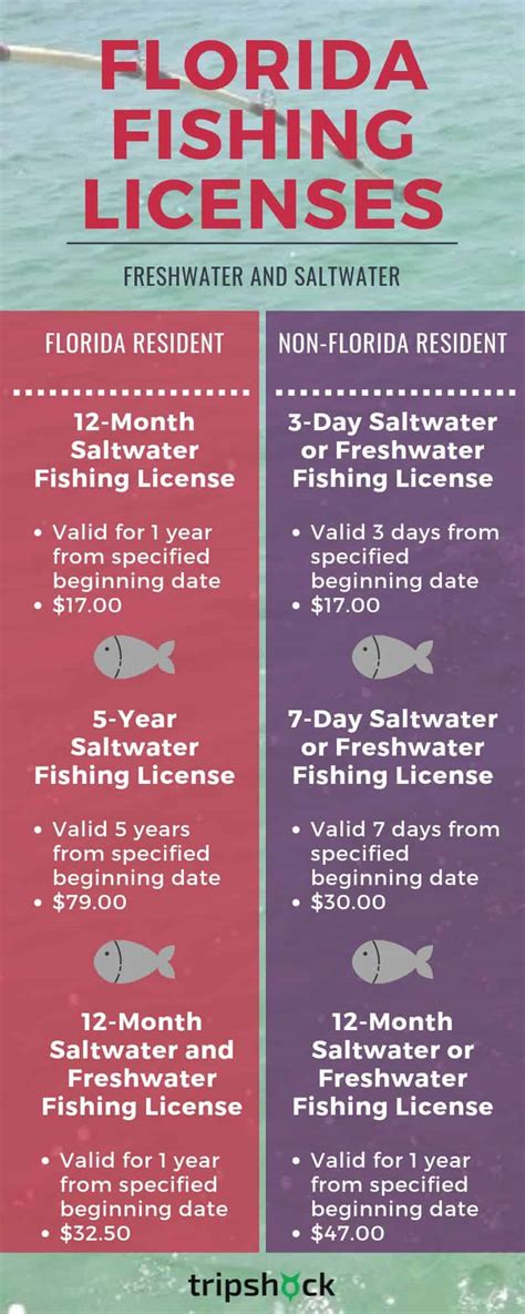 Florida Fishing Licenses, Laws, and Regulations – .